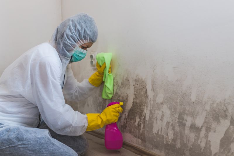 Air Duct Mold Removal in Fort Lauderdale, FL
