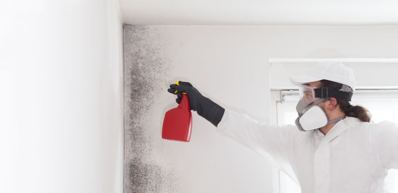 Crawlspace Mold Remediation in Dallas, TX