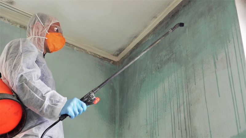 Garage Mold Remediation in Fort Worth, TX