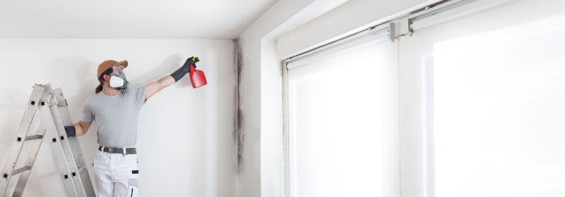 Mold Abatement Service in Fort Lauderdale, FL