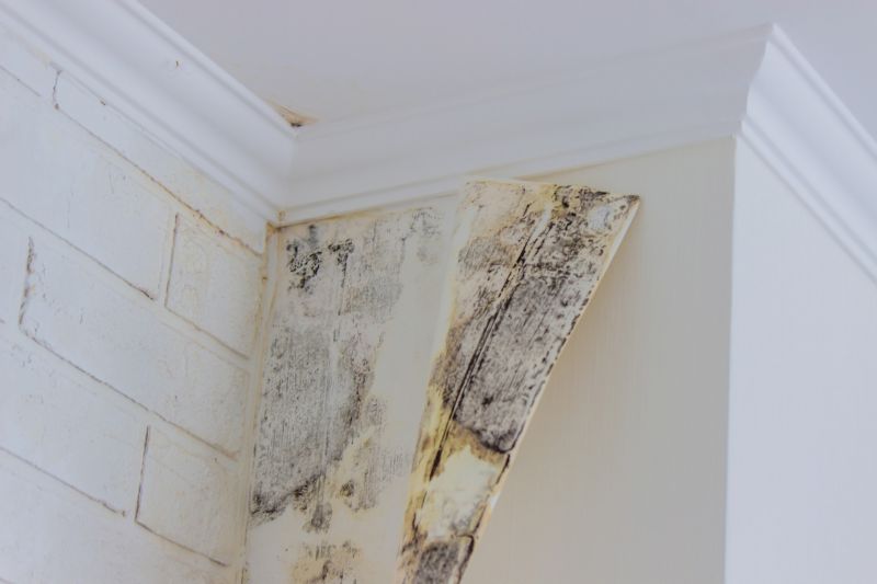 Air Duct Mold Removal in Broward County, FL