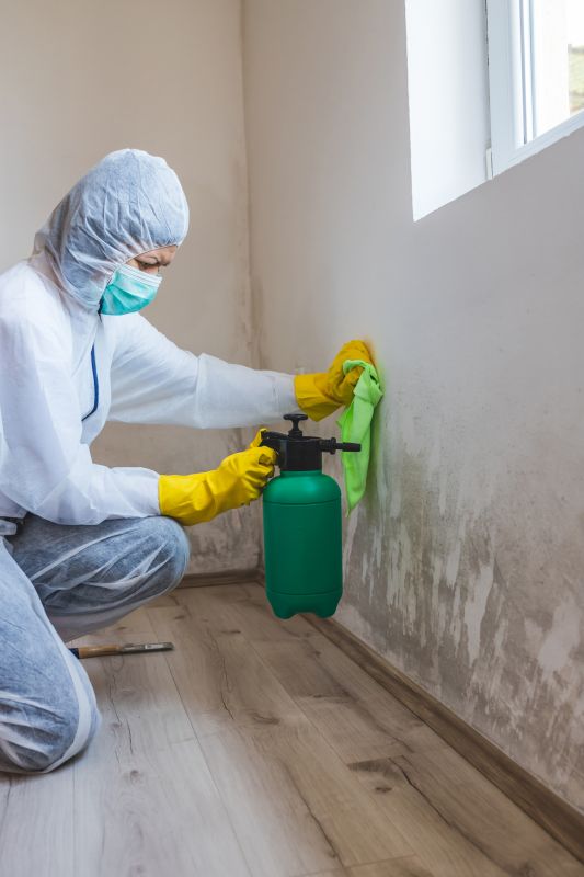 Air Duct Mold Removal in Fort Worth, TX