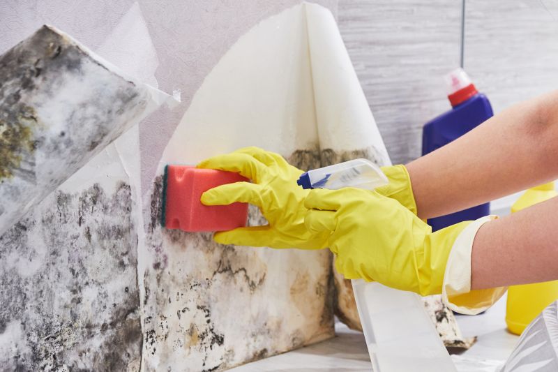 Attic Mold Remediation in Dallas, TX