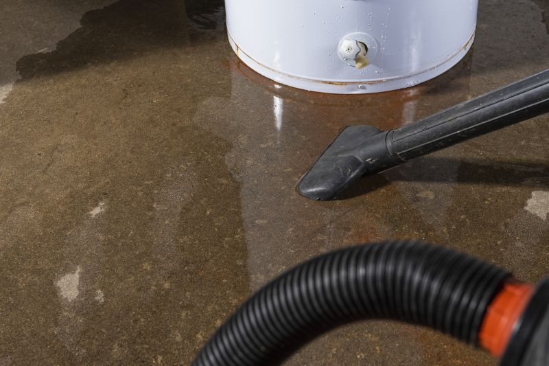 Basement Cleaning Service in Puyallup, WA