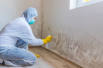 Basement Mold Remediation in Dallas, TX