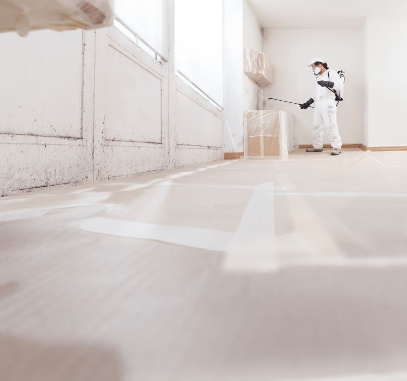 Crawl Space Mold Removal in Dallas, TX