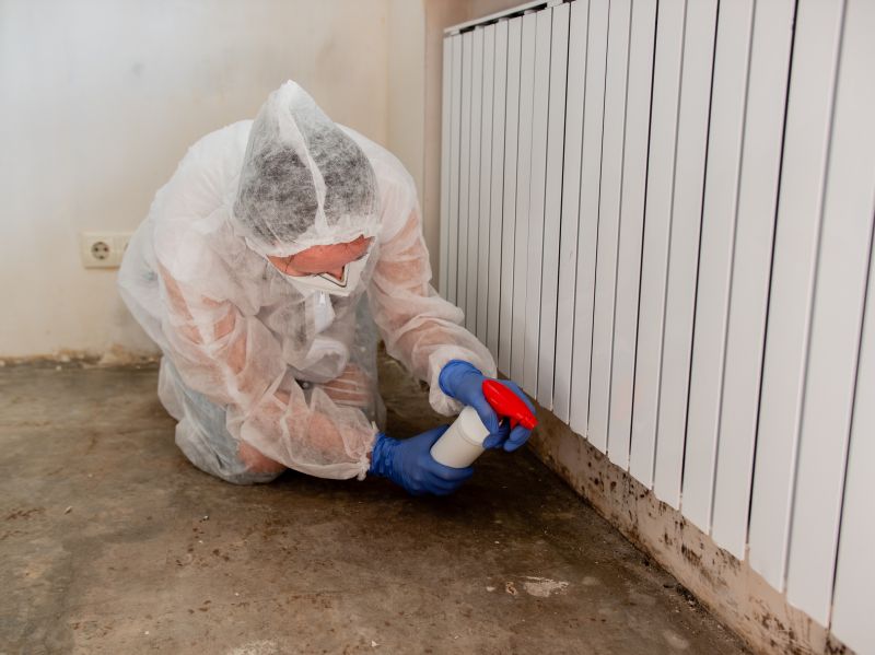 Garage Mold Remediation in Fort Lauderdale, FL