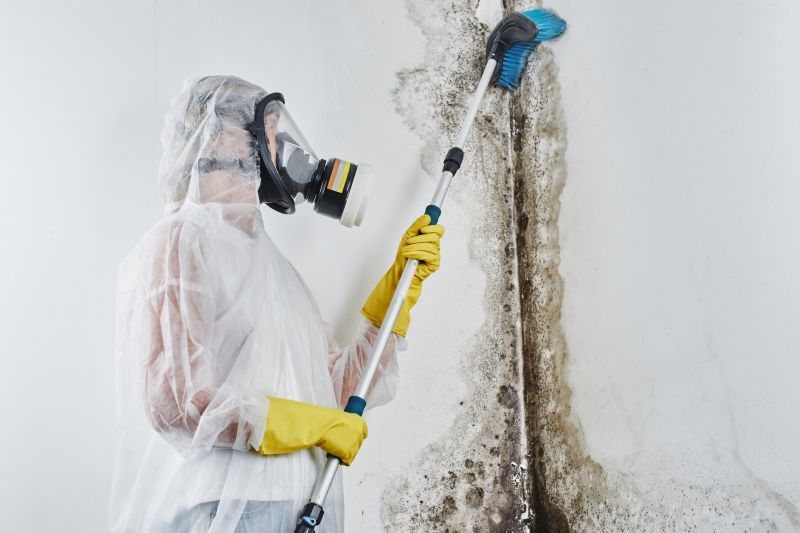 Mold Remediation Service in West Palm Beach, FL