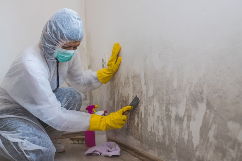 Mold Restoration in Broward County, FL